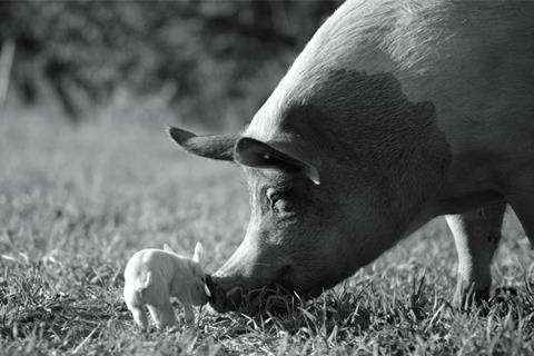 Trailer Oficial de ‘GUNDA’