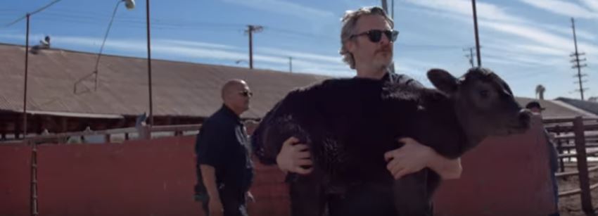 Joaquin Phoenix pede resgate de animais da Far Marsh Farm