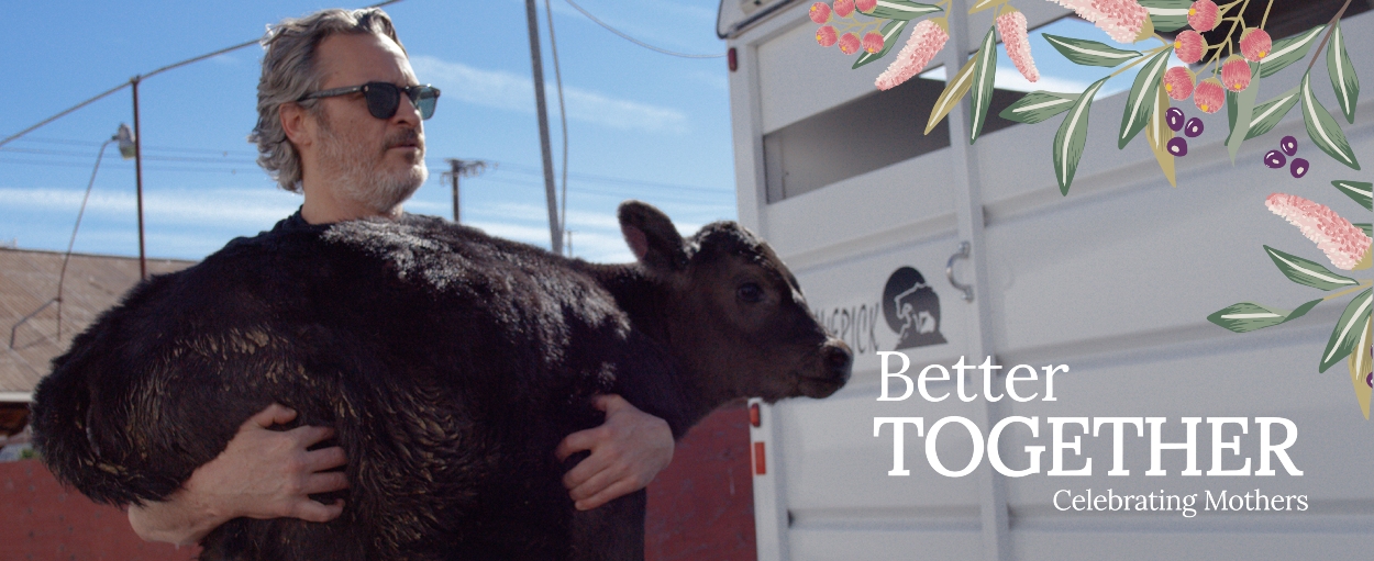Adote Liberty & Indigo no Dia das Mães