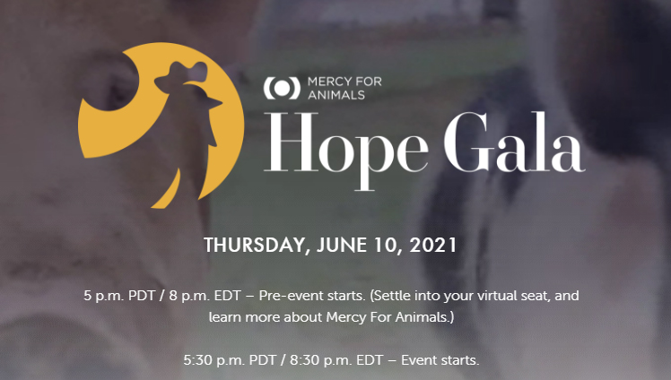 Joaquin Phoenix e Rooney Mara apresentam o prêmio Hope á Dra. Jane Goodall