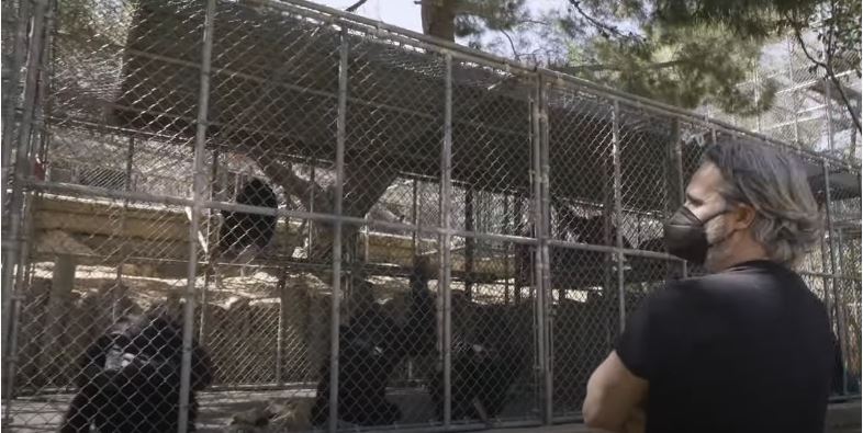 “A Checkered Past”: Narrado por Joaquin Phoenix e Rooney Mara