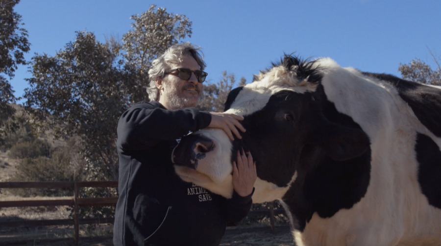 Moby, Joaquin Phoenix e Billie Eilish exortam os líderes mundiais em negociações sobre o clima a conter a pecuária