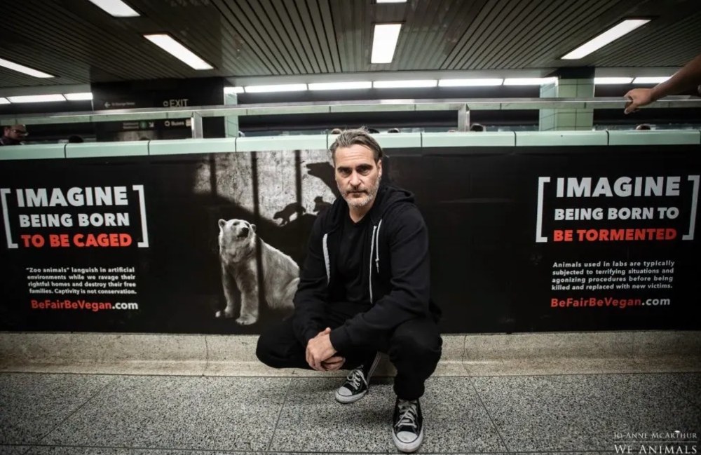 Arrecadação de fundos em homenagem ao aniversário de Joaquin Phoenix