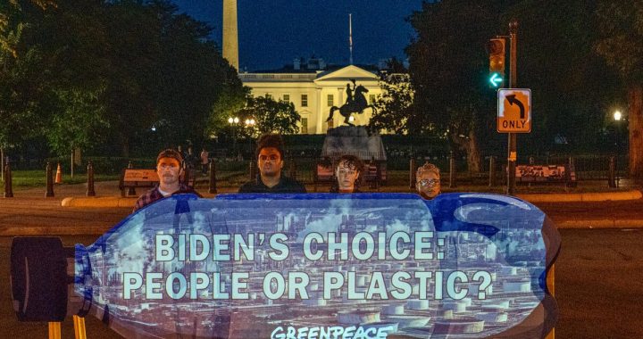 Joaquin Phoenix e outras celebridades pedem que o governo Biden apoie um forte tratado de plásticos