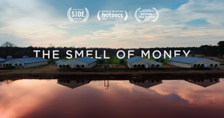 Joaquin Phoenix e Rooney Mara pagarão pelo aluguel do documentário ambiental ‘The Smell of Money’